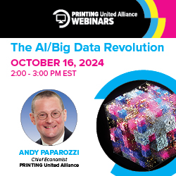WEBINAR:  AI/Big Data Revolution