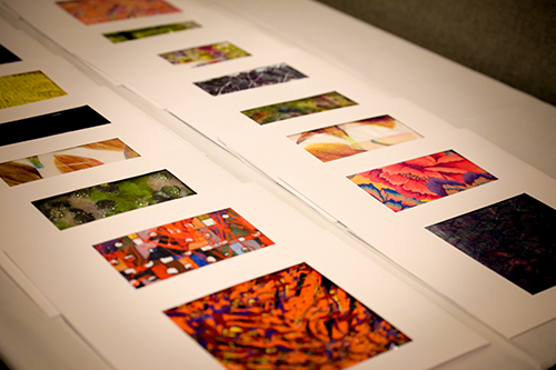 Digital Textile Printing Conference — Prints