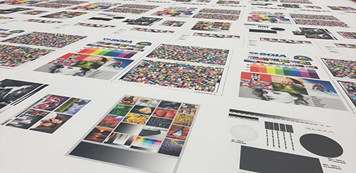 Color Management Boot Camp Samples