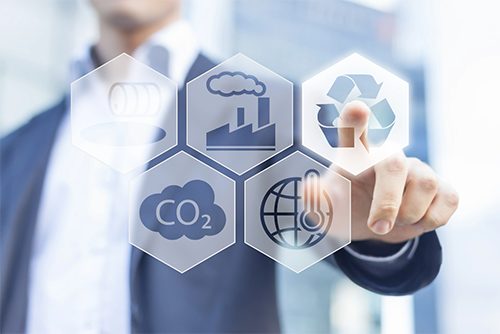 Choosing Sustainability