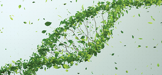 Sustainability Is Here to Stay