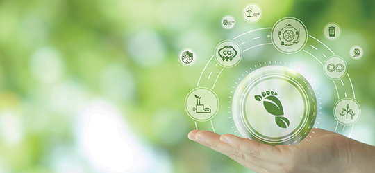 cupped hand holding a projected image of a carbon footprint and its components