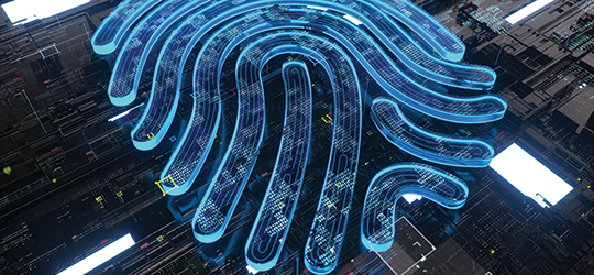 Packaging Security Building Trust for Brands